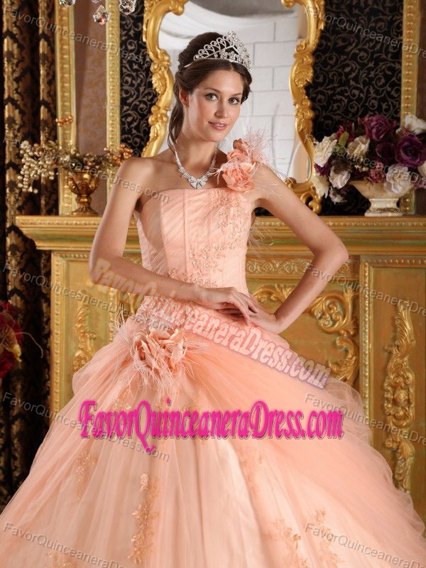 Light Pink Ball Gown Appliques Tulle Dresses for Quince with One Shoulder
