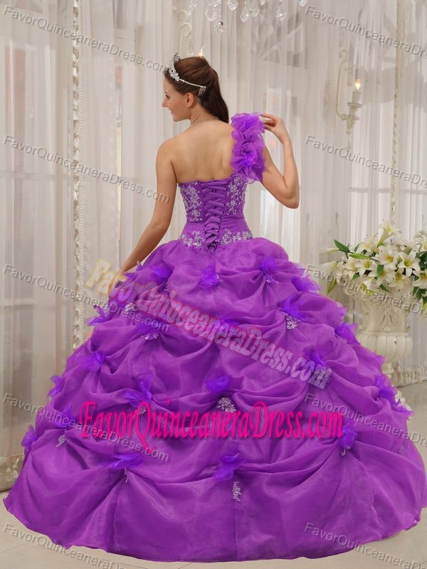 Organza Appliqued Fuchsia Ball Gown Quince Dresses with One-shoulder