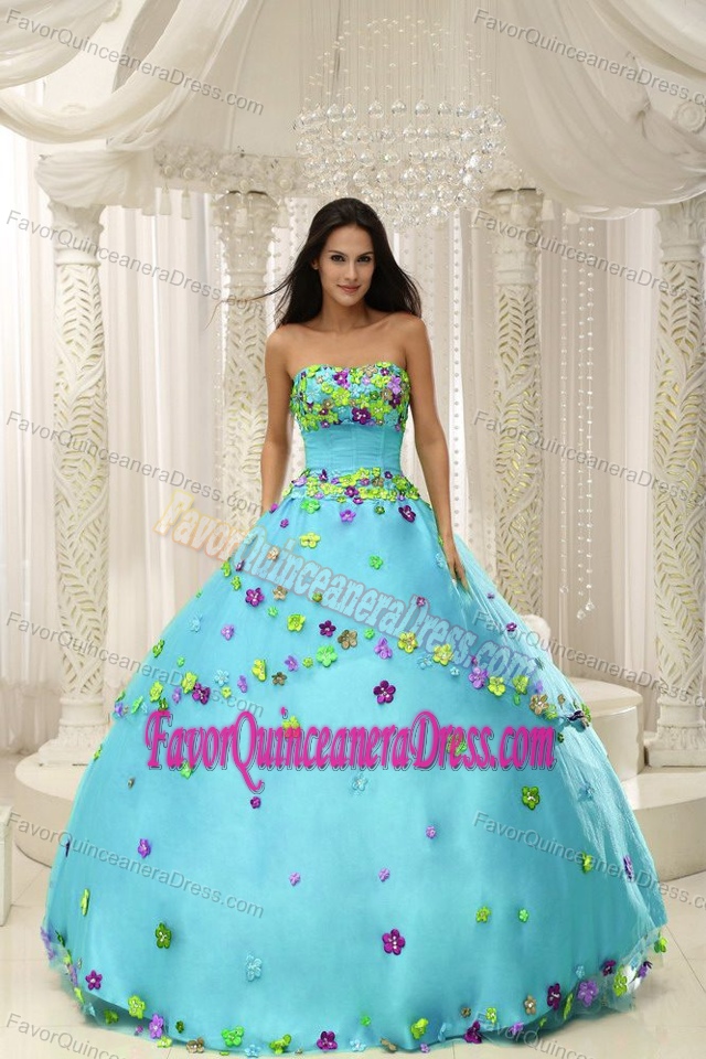 Appliques Decorated Bodice Baby Blue Quinceanera Gown Dress in 2013