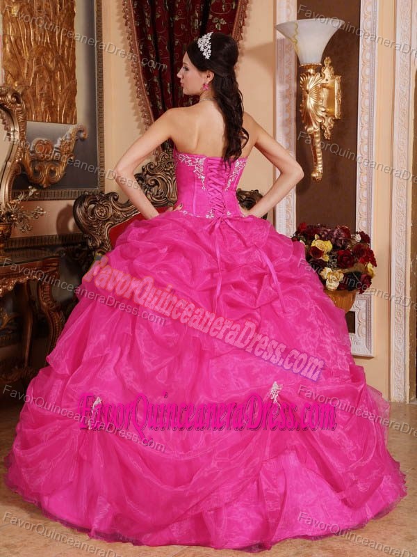 Exquisite Sweetheart Organza Lace-up Hot Pink Long Quinceanera Gowns