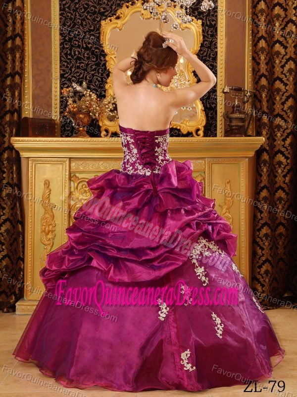 Vintage Organza Appliqued Quinceanera Dress with Pick-ups in Fuchsia