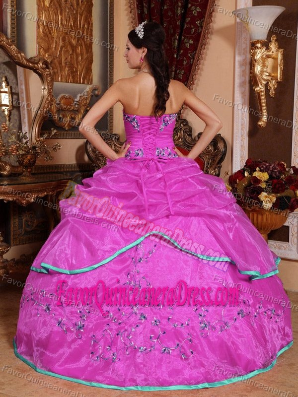 Fitted Strapless Organza Appliqued Quinceanera Gown Dress in Hot Pink