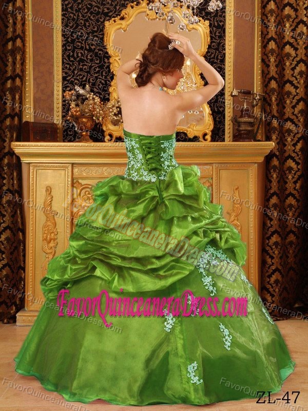 Olive Green Appliqued Ball Gown Organza Quinceanera Dresses with Pick-ups
