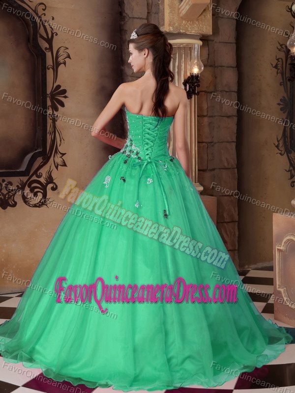 Green A-line Sweetheart Floor-length Organza Sweet 15 Dress with Beads
