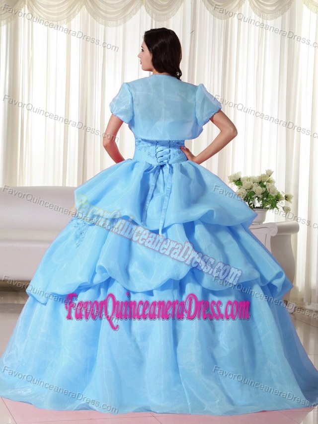 Baby Blue Quinces Dresses in Organza Quinceanera Gown Dresses and Pickups