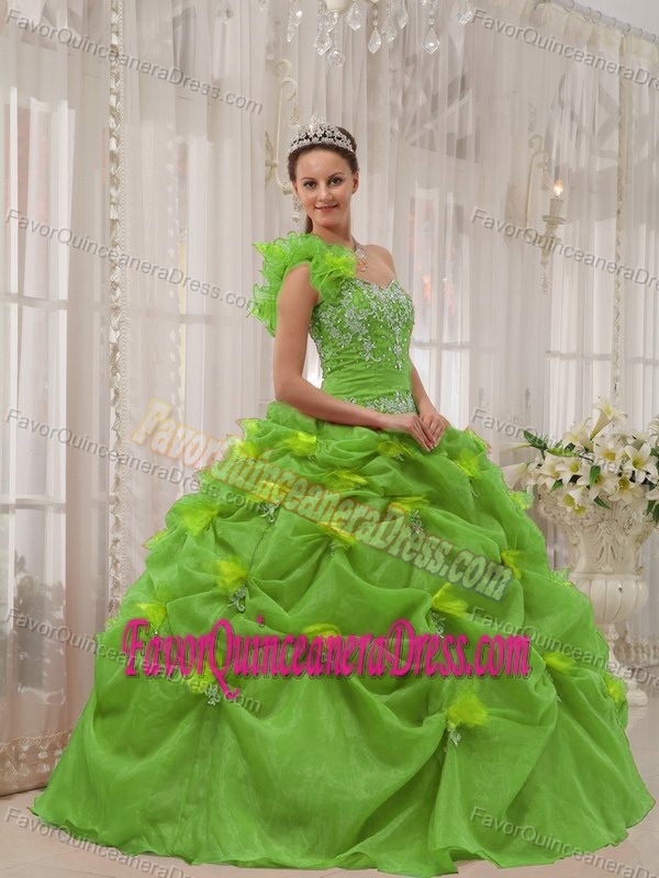 Hot Spring Green Appliques Sweet 16 Dress One Shoulder Organza Pick-ups