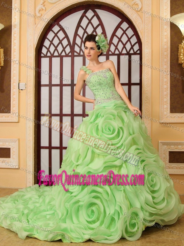 Rolling Flowers One Strap Organza Chapel Train Green Quince Dress Beaded
