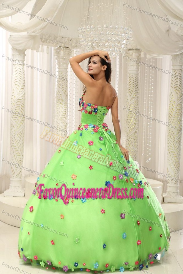 Chic Spring Green Taffeta Sweet Sixteen Quinceanera Dress with Appliques