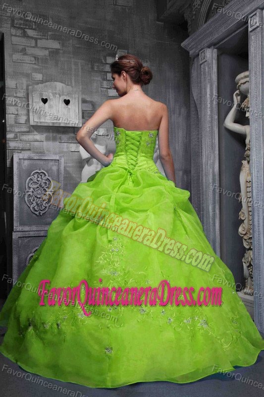 Pretty Spring Green Taffeta and Organza Appliques Dress for Quinceanera