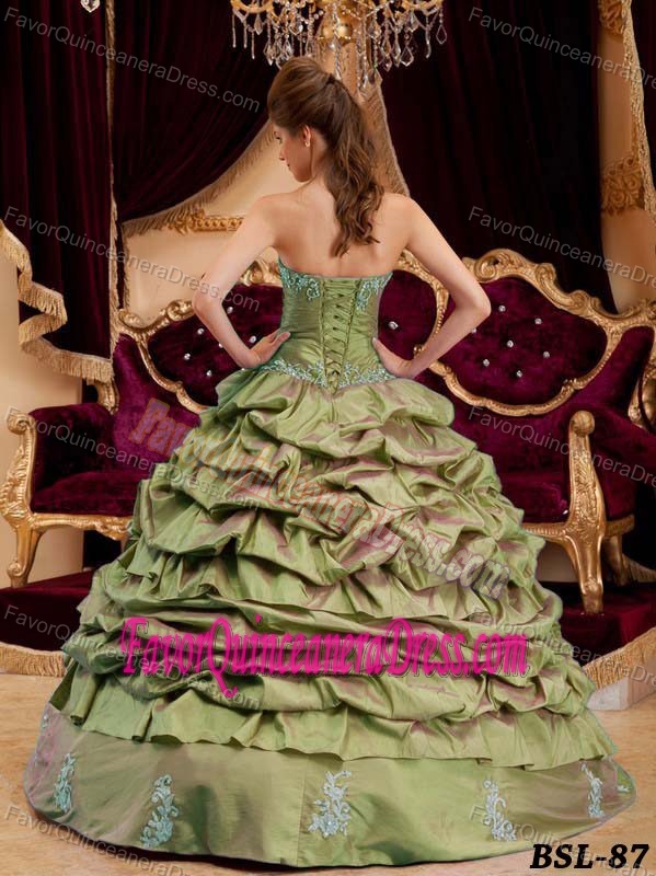 Hot Pick-ups Quince Dress in Olive Green Sweetheart Taffeta Appliques