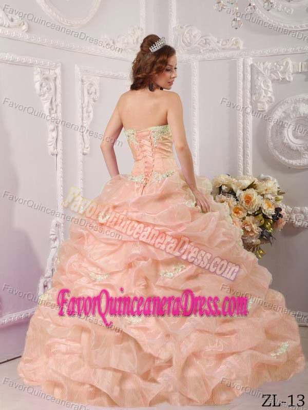 Perfect Pick-ups Appliqued Baby Pink Organza Quince Gowns Wholesale