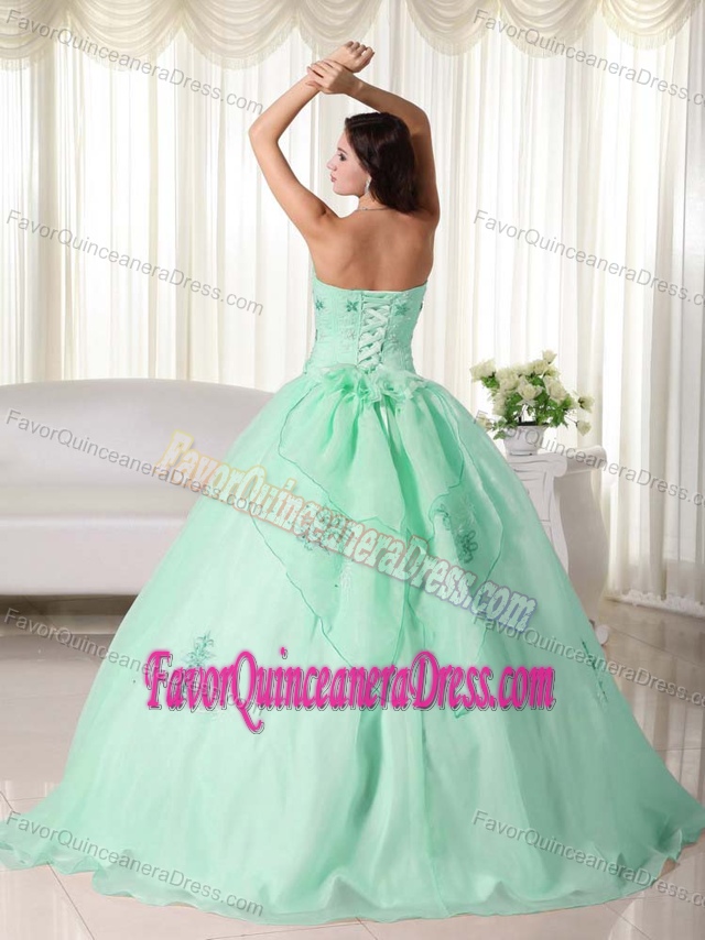 Cute Apple Green Strapless Organza Dress for Quince with Embroidery
