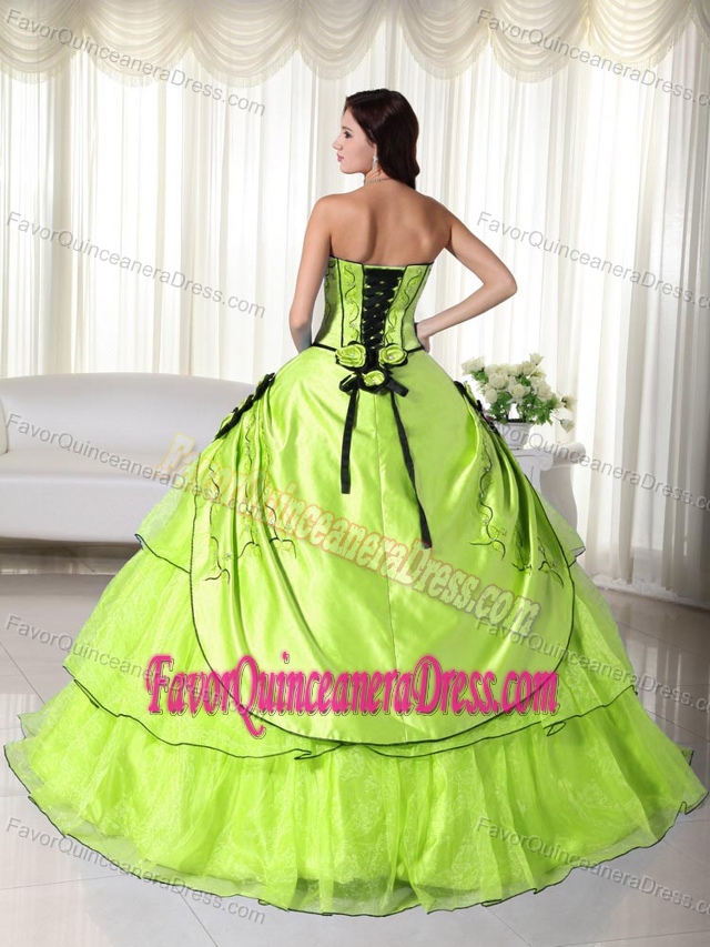 Spring Green Strapless Floor-length Dresses for Quinceanera in Organza