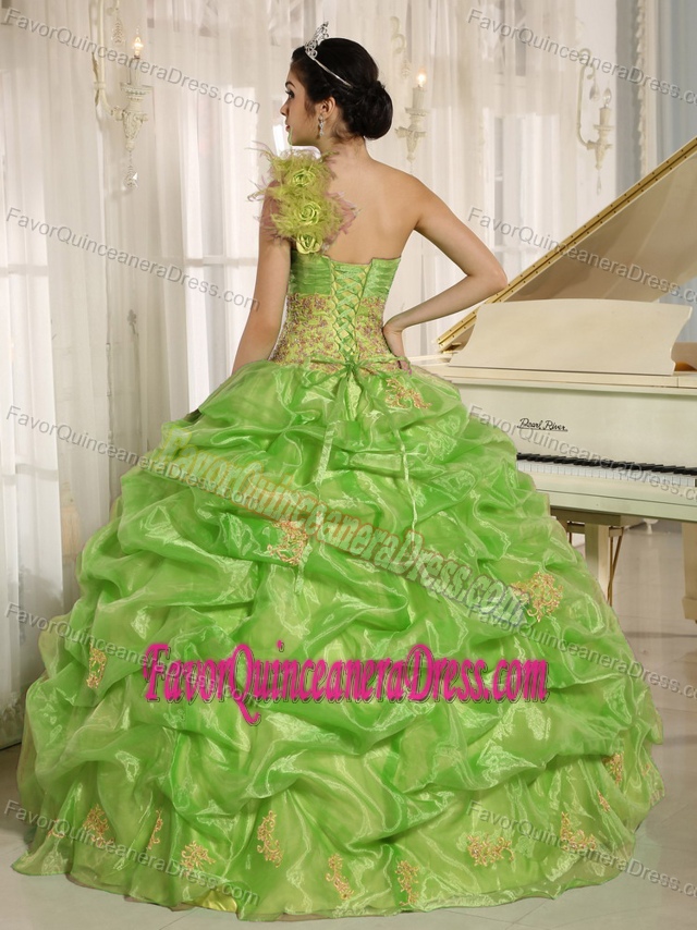 Spring Green One Shoulder Sweet 15 Dresses in Organza with Pick-ups