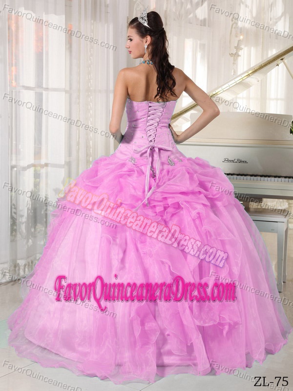 Pink Ball Gown Strapless Floor-length Beaded Quinceanera Gown in Organza