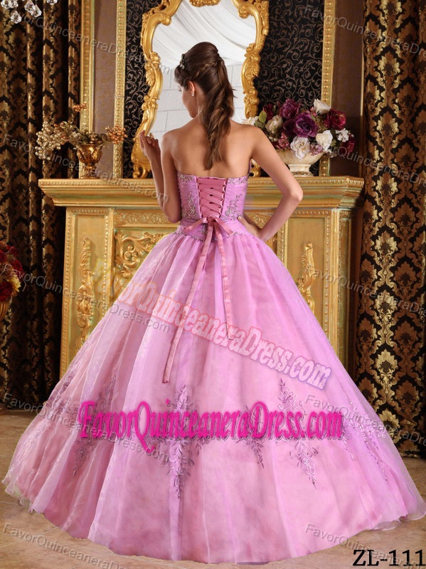 Pink Ball Gown Strapless Floor-length Appliques Quinceanera Gown in Tulle