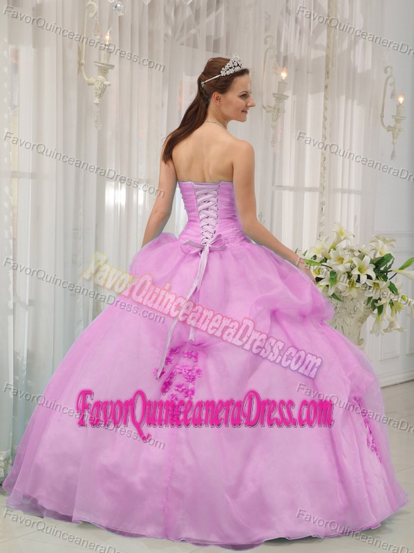 Pink Ball Gown Sweetheart Floor-length Organza Quince Dresses with Appliques