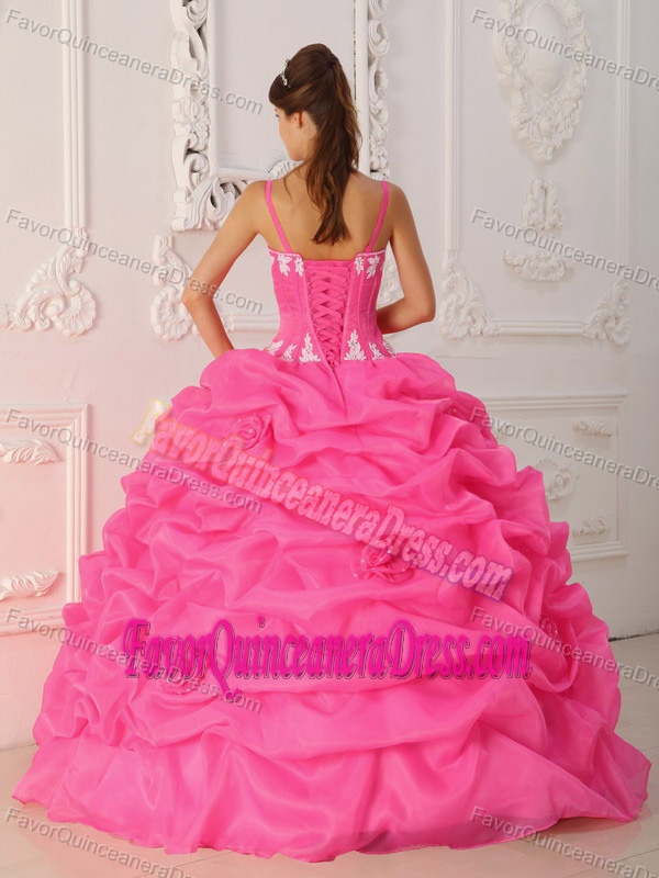 Pretty Organza Quinceanera Dresses with Appliques and Pick-ups for 2015