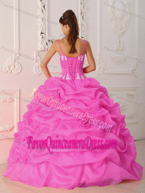 Elegant Ball Gown Organza Quinceanera Dresses with Appliques and Pick-ups