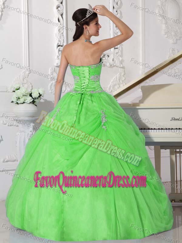 Hand Made Flower Spring Green Organza Appliques Sweet 15 Dresses on Sale