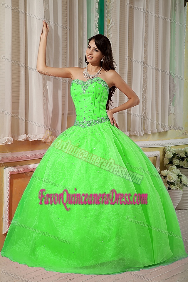 Pretentious Floor-length Organza Dresses for Quinceaneras in Spring Green