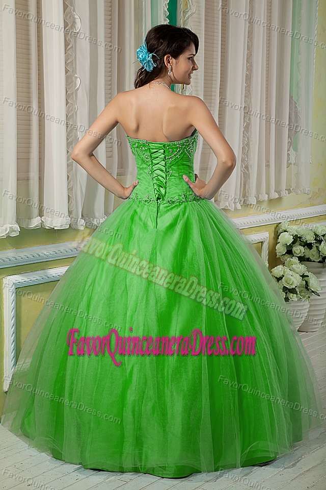 Spring Green Polished Ball Gown Sweetheart Floor-length Tulle Quince Dresses