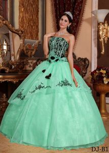 Strapless Floor-length Organza Embroidery Quinceanera Gown in Apple Green