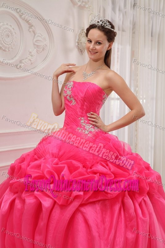 Floral Organza Hot Pink Sweetheart Ball Gown Sweet 15 Dresses for Cheap