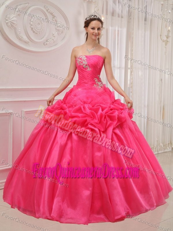 Floral Organza Hot Pink Sweetheart Ball Gown Sweet 15 Dresses for Cheap