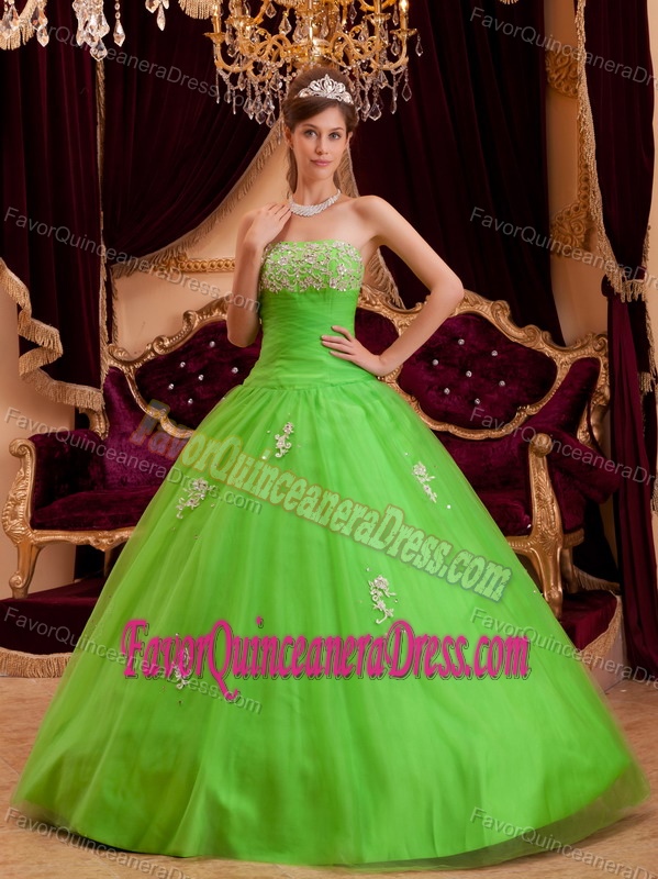 Spring Green Strapless Tulle A-line Appliques Sweet 15 Dresses for 2014