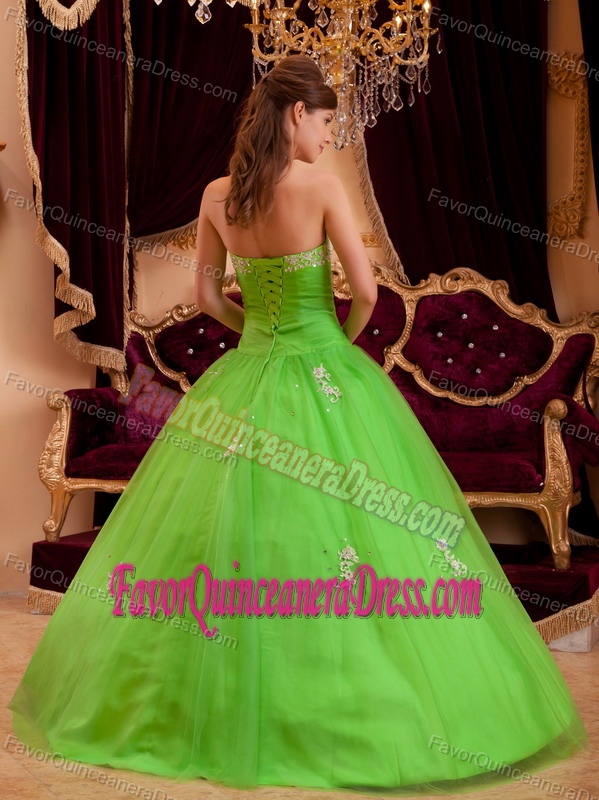Spring Green Strapless Tulle A-line Appliques Sweet 15 Dresses for 2014